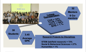 Surf 2019 infographic